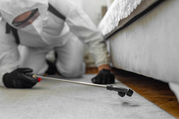 Professional Bed Bug Control technician working in La Feria, TX