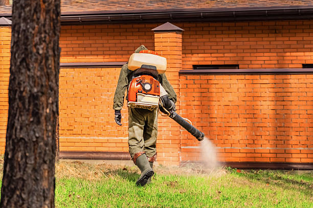 Trusted Ant Control service in La Feria, TX - Nex Pest Control
